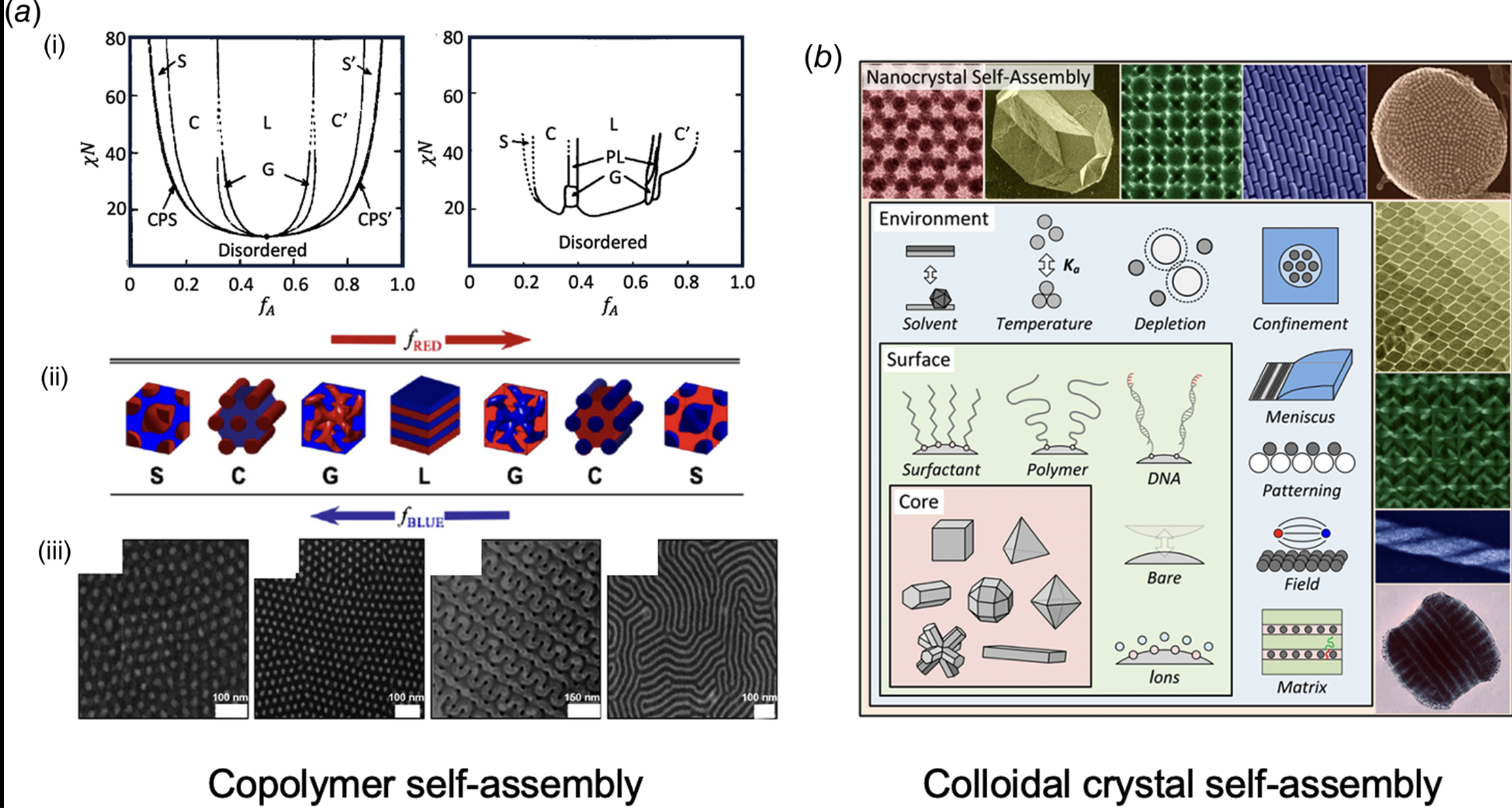 Self-Assembly Metamaterials
